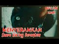 SERAM...!! SUARA KUCING BERANTEM MALAM HARI MENYERAMKAN || suara hewan, suara horror, suara hantu