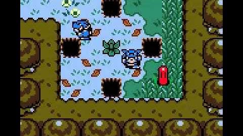 Legend of Zelda Link