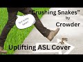 Crushing snakes by crowder asl cover