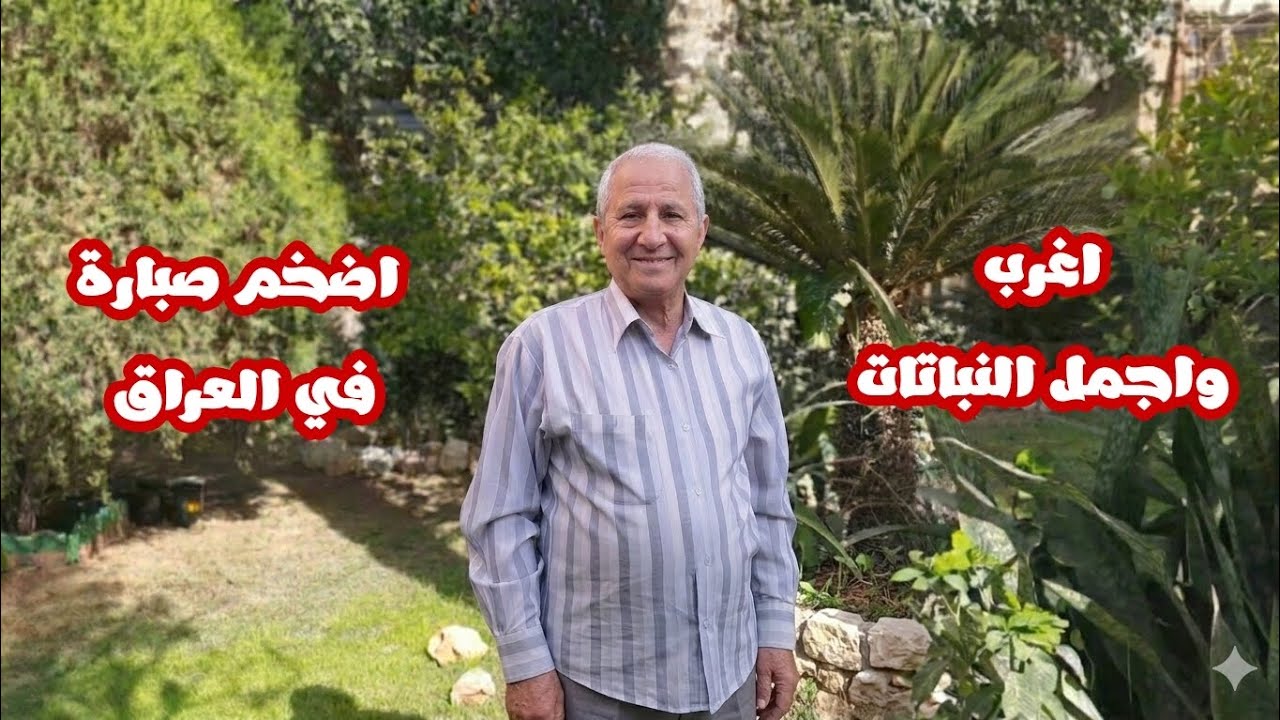 اضخم صبارة تشاهدها بام عينك،  نباتات نادرة ومتميزة في حديقة علي البكري 