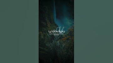 واضرب لهم مثلاً رجلين سورة الكهف #القارئ_عبدالرحمن_رمضان #المصحف #اكسبلور #لايك #ترند #سورة_الكهف