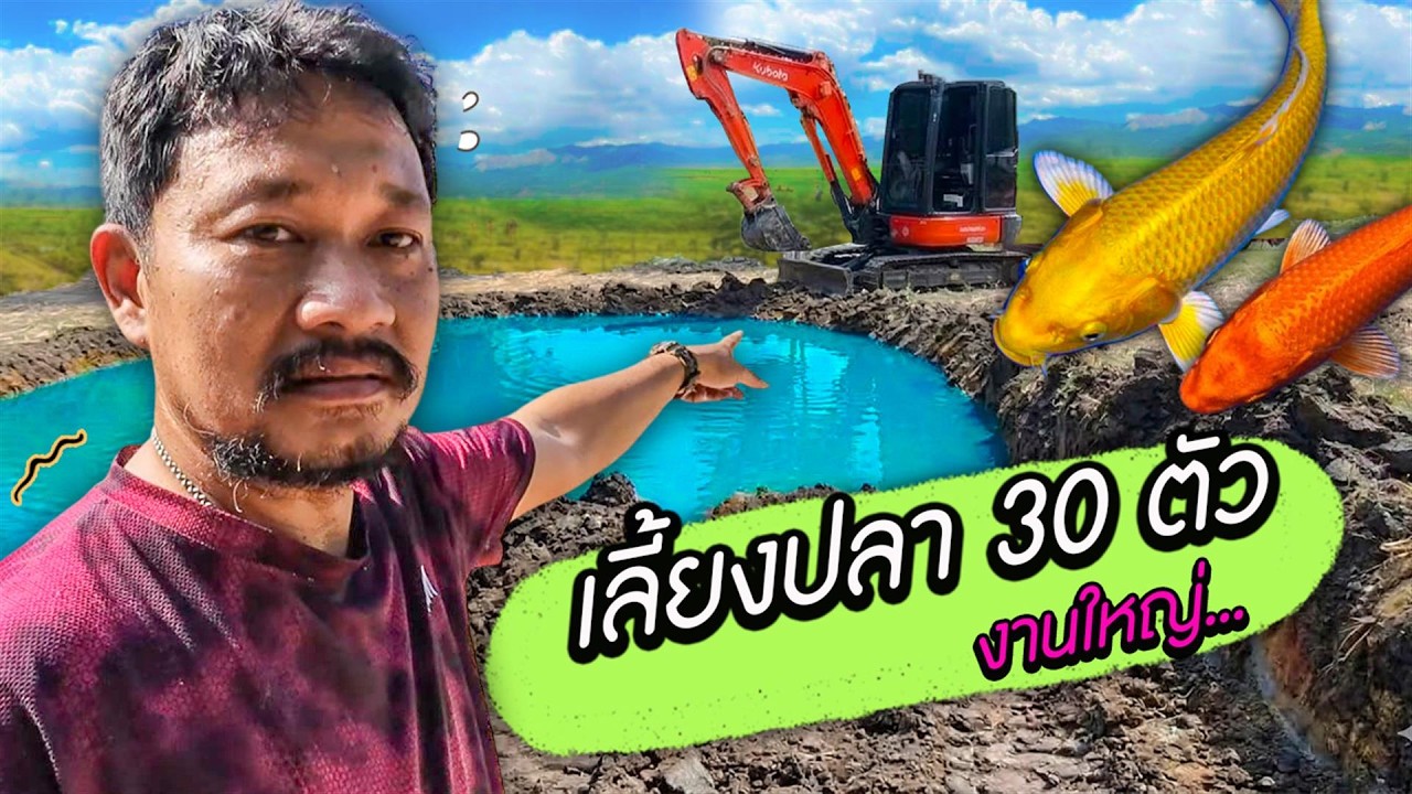 ขุดบ่อเลี้ยงปลาคราฟ เลี้ยงไว้เก็งกำไร #คูโบต้าสิงห์บุรี #kubota 