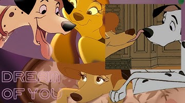 Animash Full Mep [Dream of You]