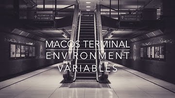macOS Terminal - Environment Variables