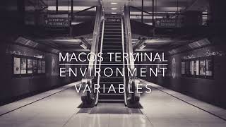 macOS Terminal - Environment Variables