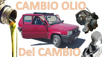 Che cosa sembra il panda?