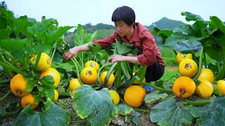 金珠西葫芦长满瓜藤，阿嬷做4道消暑菜，鲜甜嫩滑食欲满满！Golden zucchinis
