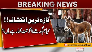 Shocking Reveal! Are We Eating Donkey Meat in Pakistan | Full Truth Exposed | Breaking News