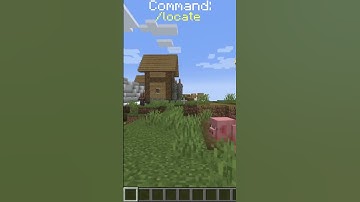 5 Cool Commands for Minecraft! #shorts