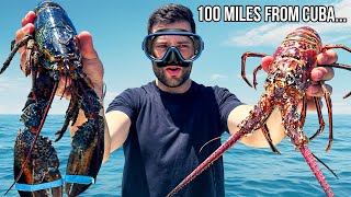 Battle of the LOBSTERS: Maine vs Spiny