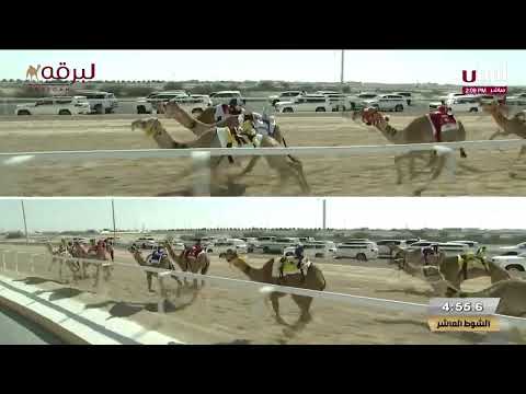 ش10 هياض ل حمد راشد محمد صفوه المري مهرجان أمير البلاد المفدى 2 4 2025م حقايق قعدان إنتاج 5 49 22