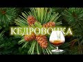 Кедровка. Настойка на кедровых орешках