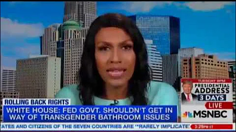 Candis Cox on MSNBC 2 25 17