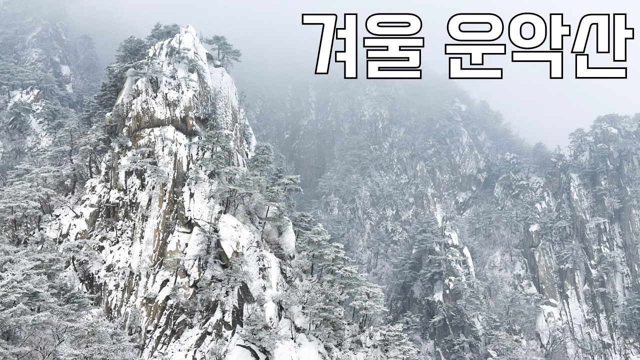 미치게 예쁜데 진짜 죽을 뻔했습니다 | 네발로 오른 수묵화 같은 겨울 운악산