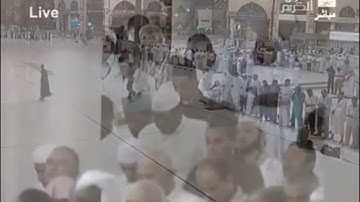 الشيخ ماهر المعيقلي - صلاة الفجر من سورة آل عمران