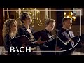 Bach - Cantata Nach dir, Herr, verlanget mich BWV 150 - Sato | Netherlands Bach Society