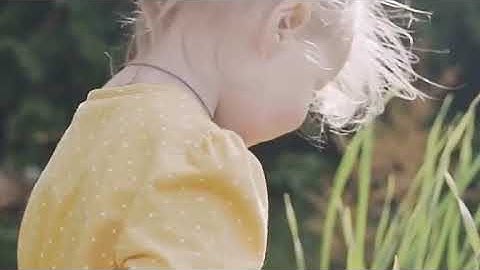 Week 3- Assignment: Video Collage