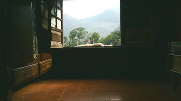 PANASONIC GH4 COLOR GRADING TEST