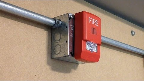 System Test 28 | Wheelock LED Exceders