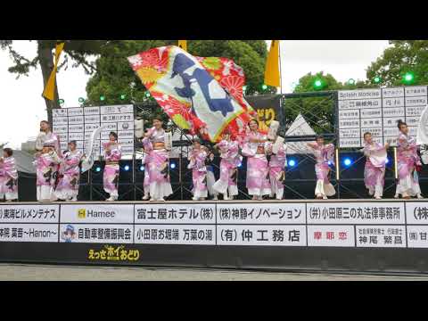 よさこい魂　和（2019えっさホイおどり・メイン会場）