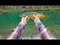 Fliegenfischen mit Belly Boat | Live-Bisse | Saiblinge | Regenbogenforelle | Kochen am Belly Boat