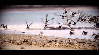 Bahia Bustamante Lodge - Chubut, Patagonia, Argentina.