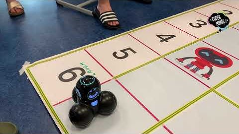 CoderMinds: Programmeren en Robotica Voor Groep 3 tot Universiteit in Nederland