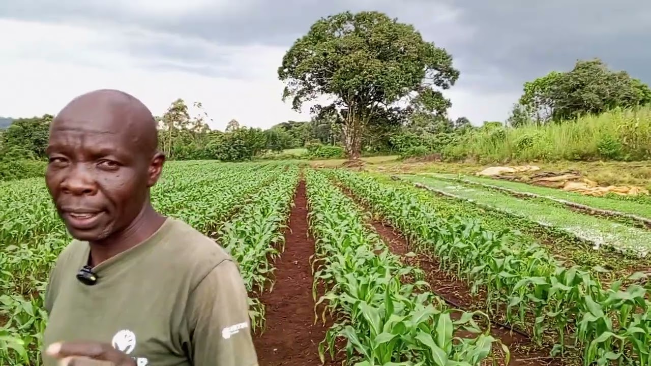 СОТНИ МЕШКОВ И БОЛЕЕ 90 КГ МОЖНО ДОСТИЧЬ ТОЛЬКО С ПОМОЩЬЮ НОВОЙ ТЕХНОЛОГИИ.