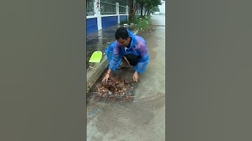 Remove Many Leaves Clogged Culvert Drain #unclog #remove #culvert #floodrain #shorts