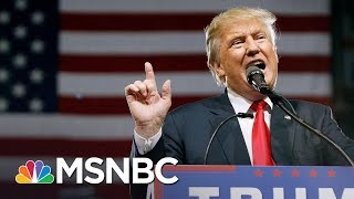 Donald Trump: 'France Is No Longer France' | MSNBC