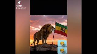 Jah VR Goldenlion_Solid as a Rock (official Music Video)   