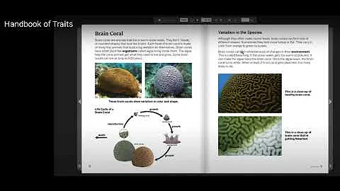 Brain Coral:  Handbook of Traits