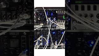 RUNGLER PARTY #eurorack #synth #modularsynth #synthesizer #electronicmusic