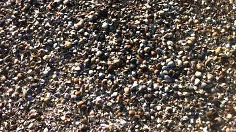 Piano Music "A Weekend at Seaside in April " by Mi...