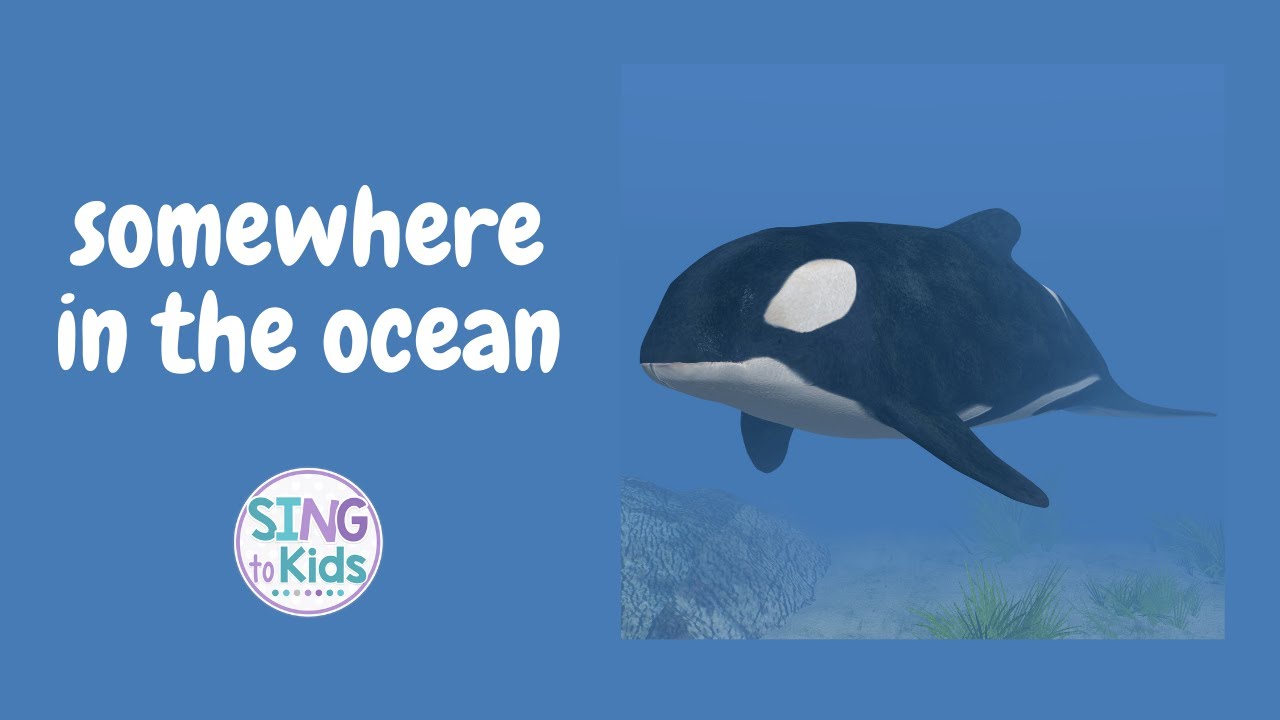 Somewhere in the Ocean YouTube