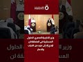 وزير الخارجية المصري: الحلول العسكرية في المنطقة لن تؤدي إلا إلى مزيد من الخراب والدمار