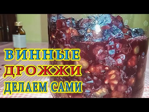 Винные дрожжи в домашних условиях быстрый способ | Спиртовые дрожжи | Дрожжевая закваска