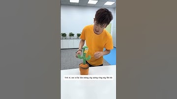 Cây xương rồng biết nói vô cùng thú vị