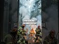 The Quiet Edge of Danger Global Professions