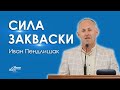 Сила закваски - Иван Пендлишак