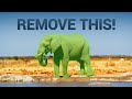This Magical AI Cuts People Out Of Your Videos! ✂️