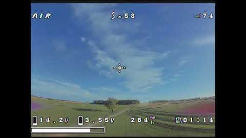 The Leopard Fatshark V3 Goggle View with OSD