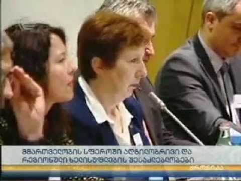 განვითარებისა და მმართველობის სფეროში სემინარი გაიმართა