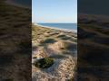 Cinematic Beachfront Villa Construction Timelapse | Drone View Build From Scratch #construction