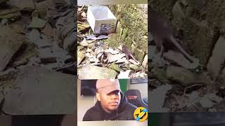 nungguin ya#memes #viral#capcut