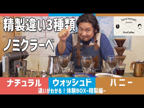 【完売御礼】精製違いのコーヒー豆 ノミクラーべ【Post Coffee x岩崎泰三】