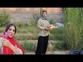 Harvesting tomatoes and white eggplants from the beautiful garden.