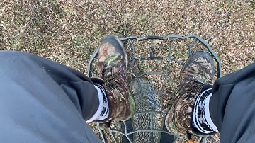 Post Rut Deer Hunt