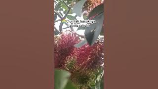 Kiss the rottenness of your own heart #reflection #quotes #study #fyp #fsy @fitryansah.m1242