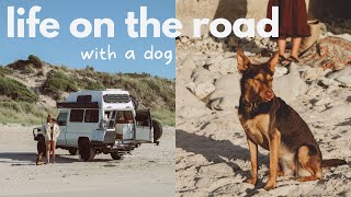 TRAVELLING AUSTRALIA WITH A DOG | First impressions  is it worth it?